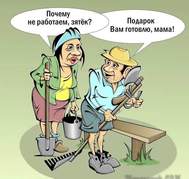 Дачная амнистия