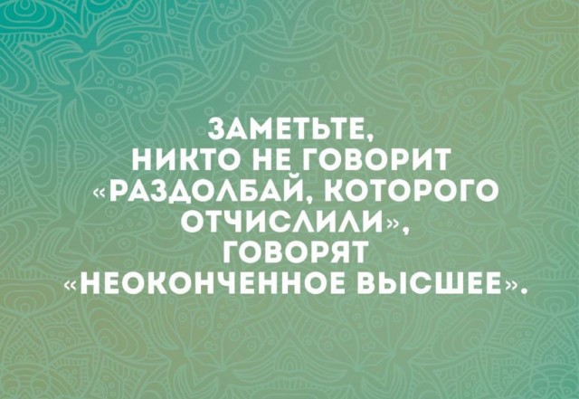Немного забавных картинок от 18.08.2024