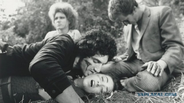 «Кошмар на улице вязов».Краткая история