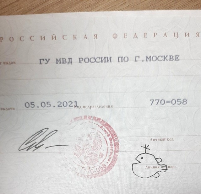 Топ-6 нелепо испорченных россиянами документов в 2024 году