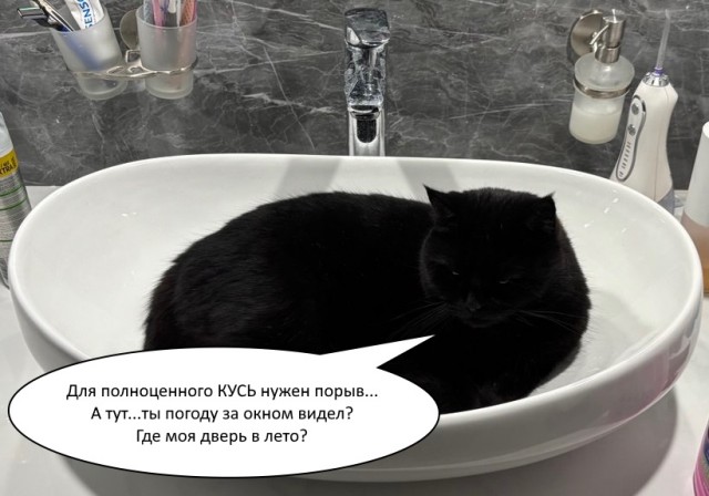 Я не кусал!