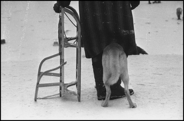 Фотографии из прошлого нашей страны – 88