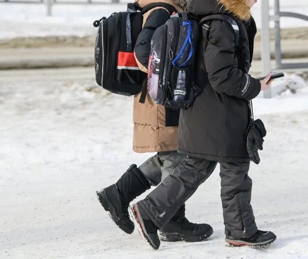 РБК: почти половина россиян отказалась честно делить наследство между детьми