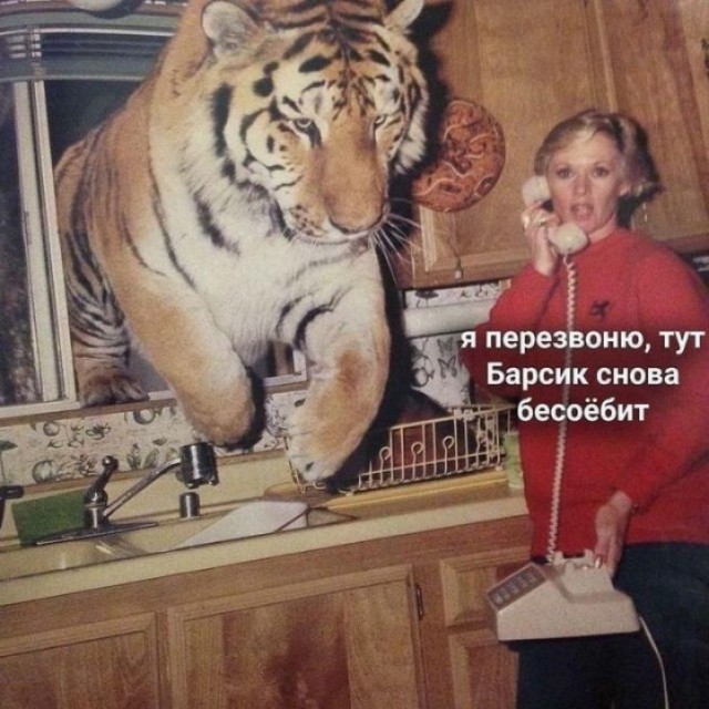 Так себе картинки   "Финал"