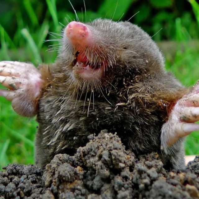 Прикольные и просто красивые картинки 04.04.2025