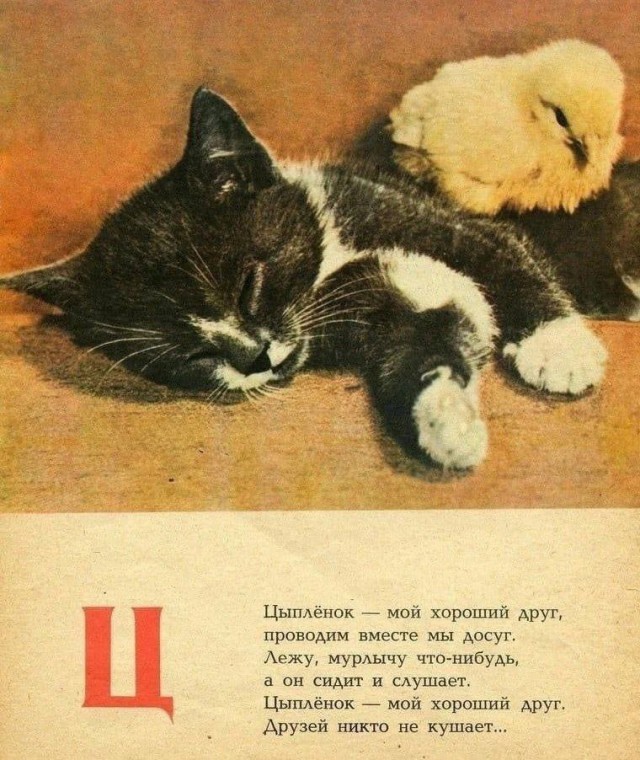 Так себе картинки 03.05.25