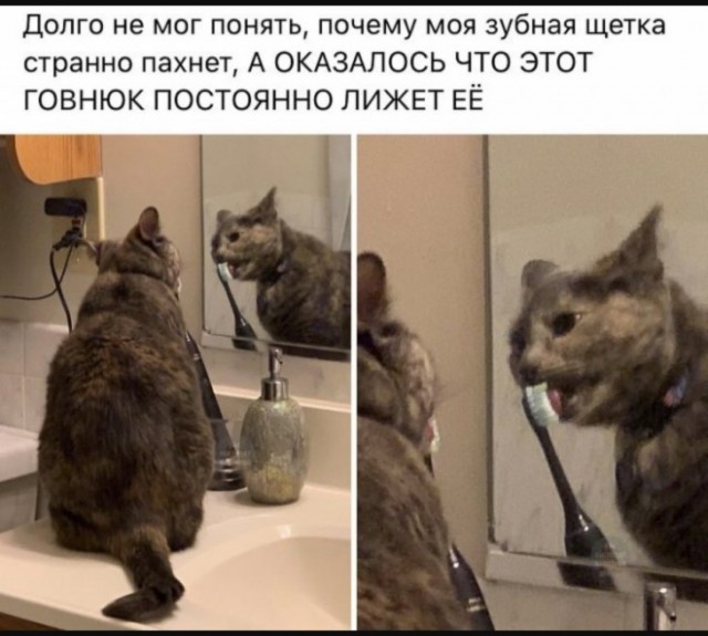 Юмор для тех, кто уже повзрослел и понял, что возраст — это просто дорогое хобби