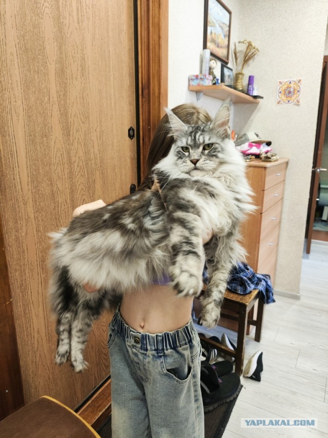 Не дотерплю до вторника