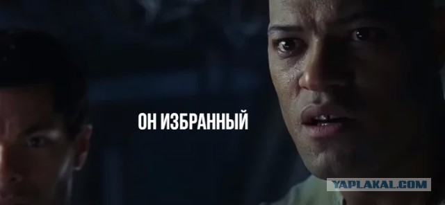 Кот в матрице