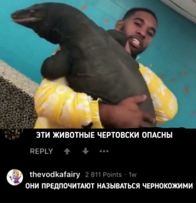Соточка. Внеплановая. Дичь.
