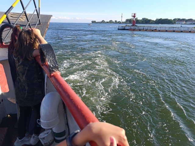 Необычная встреча...