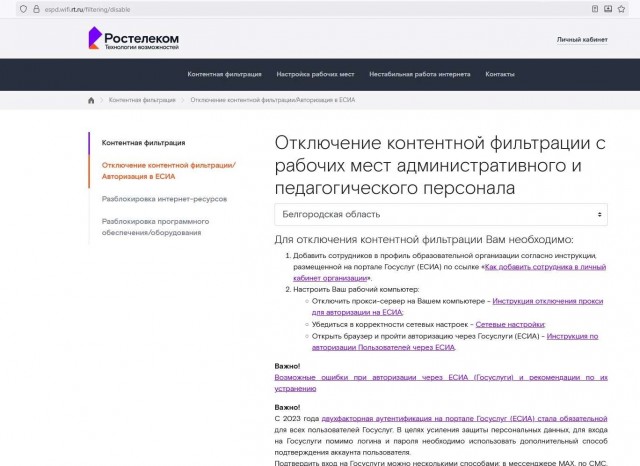 В России могу ввести вход в интернет через «Госуслуги»
