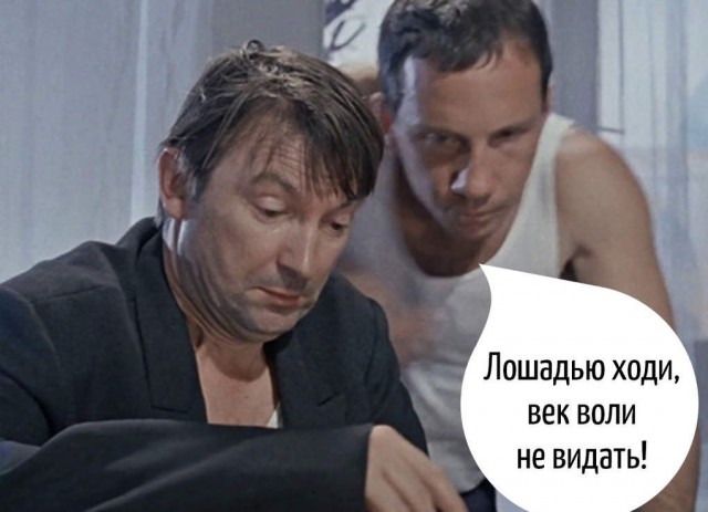 Картинки для деградации 82 (разной степени свежести)