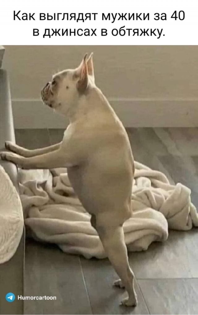 Самое лучшее утро