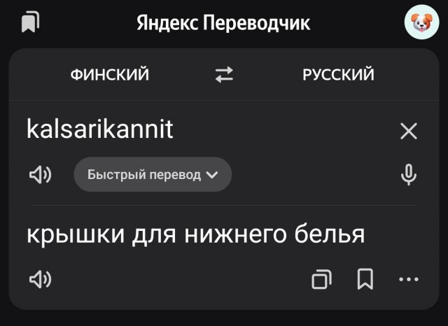 Финское слово дня