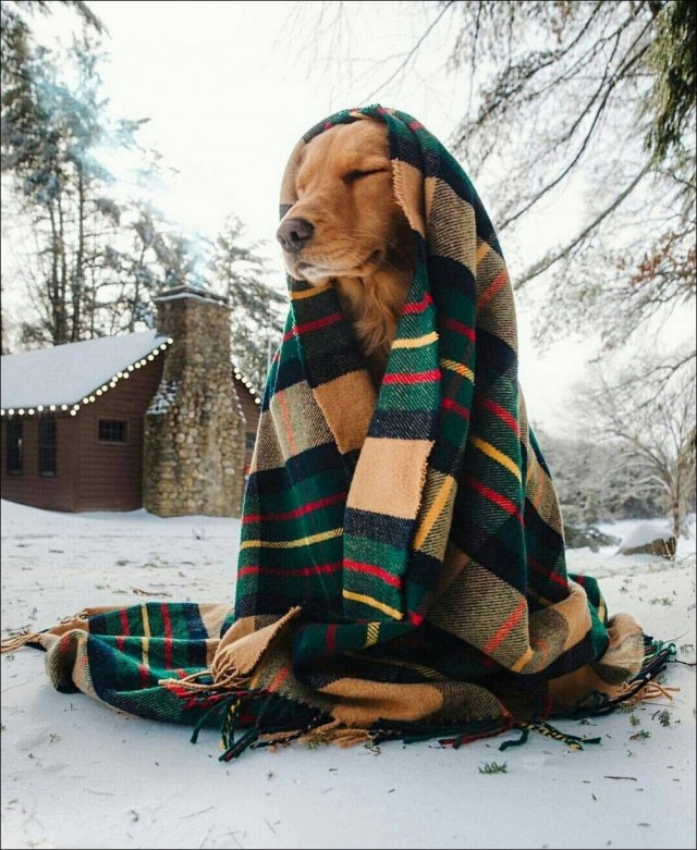 Картинок пост на 04.03.26