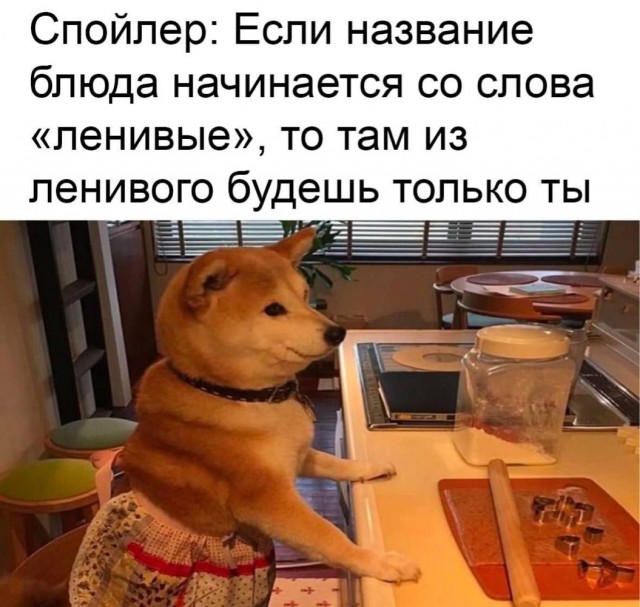 Картинки для деградации 167 (разной степени свежести)