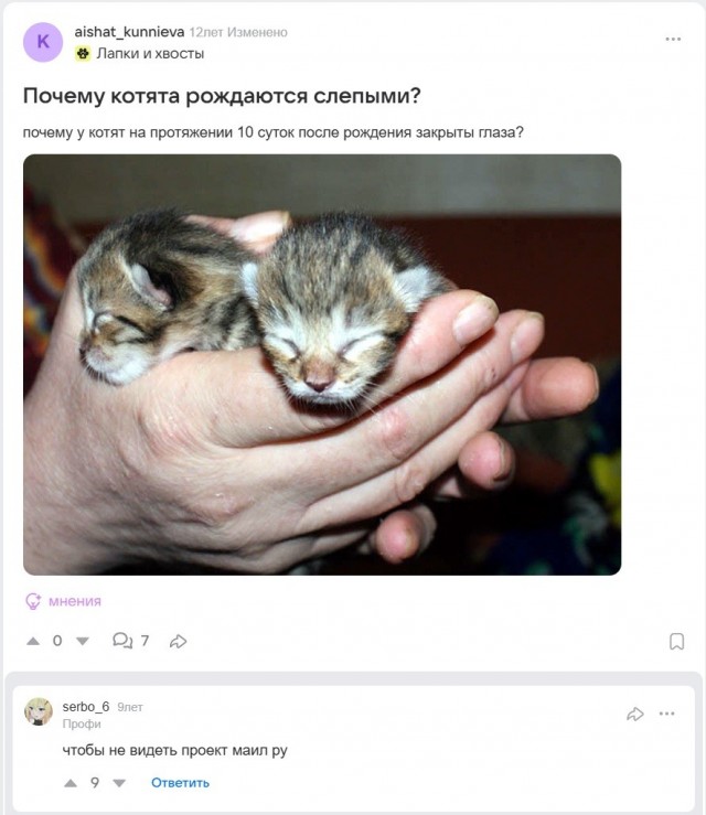 Картинки