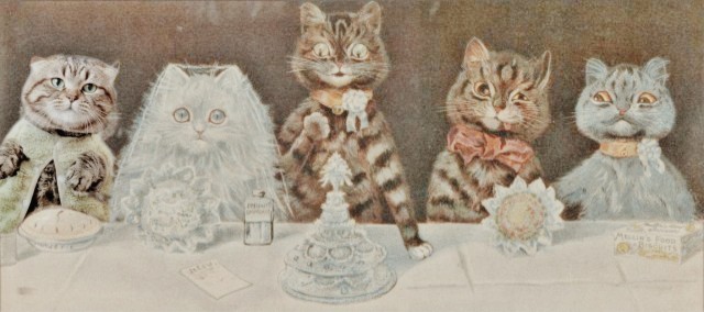 Фотожаба: Грустный котик