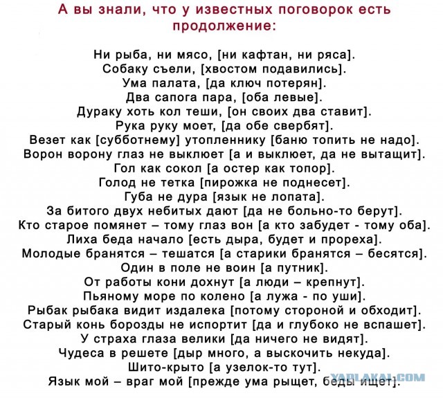 Картинки для деградации 219 (разной степени свежести)