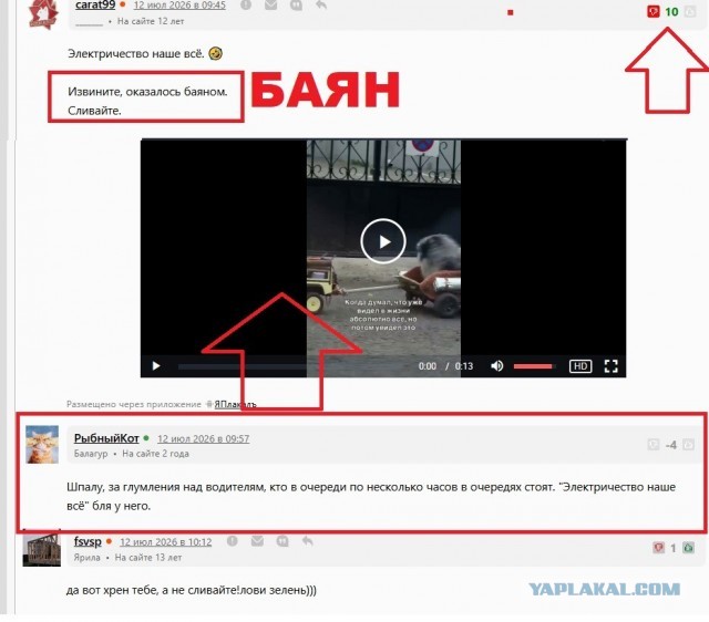 Необычная прогулка с питомцем