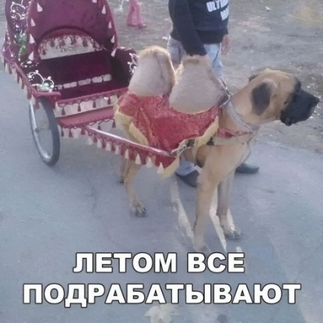 Тебе нужно найти работу на лето
