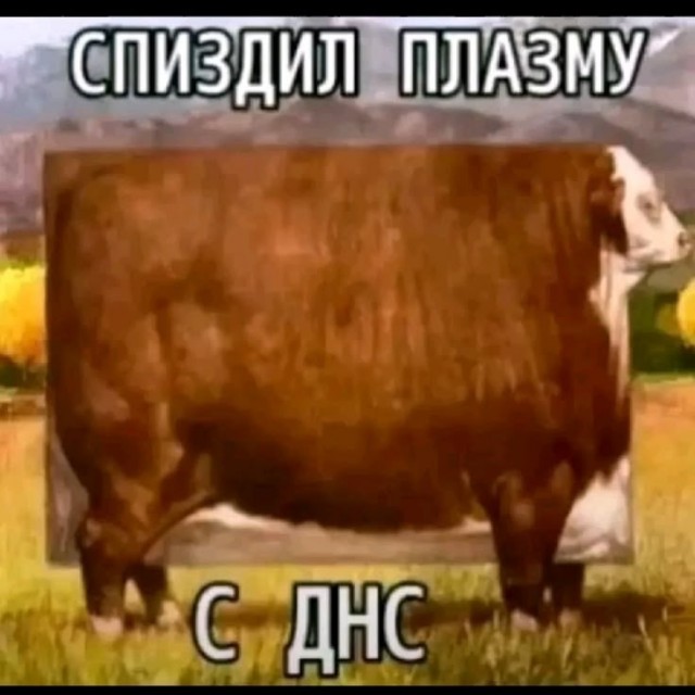 Отсутствие мозга, как составляющая счастья