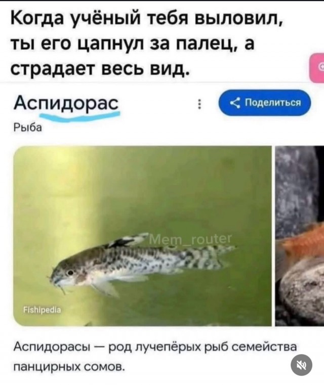 Старьё, честно