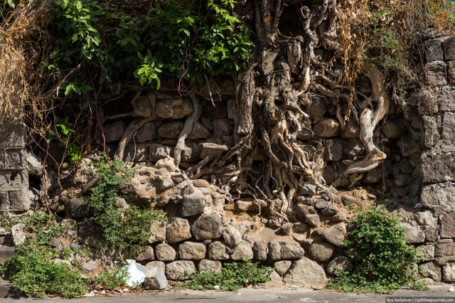 Сент-Китс и Невис - новая родина за 300 000 $