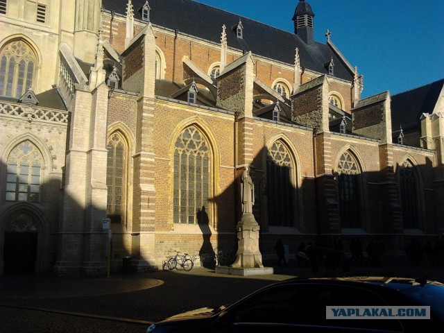 Где яблоки растут!