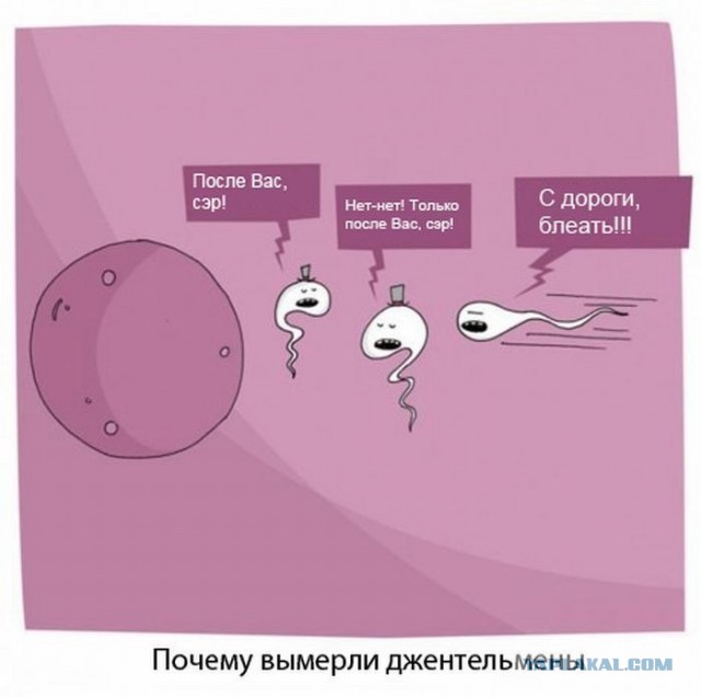 Веселые картинки? а так же комментарии)