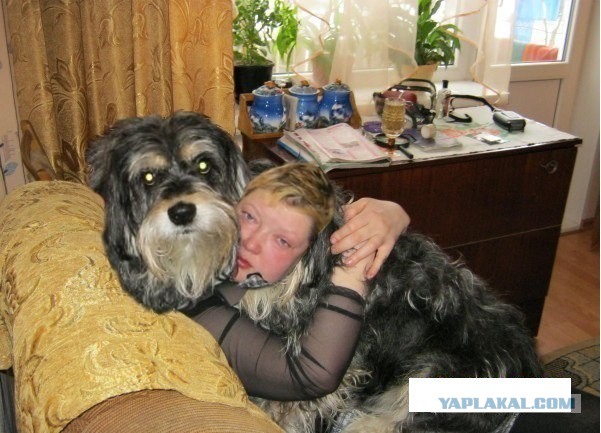 Обнимашки )