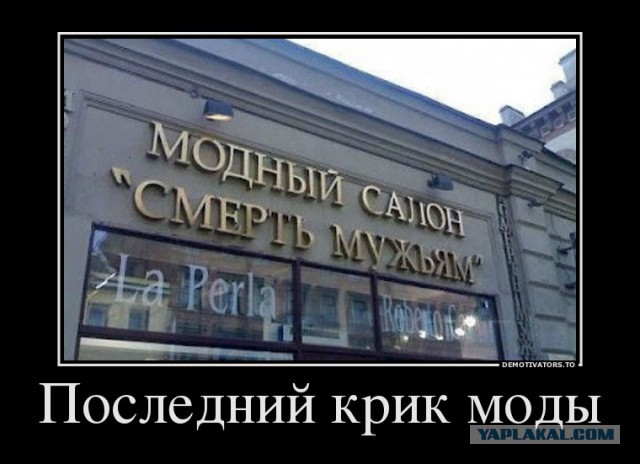 Маразмы месяца