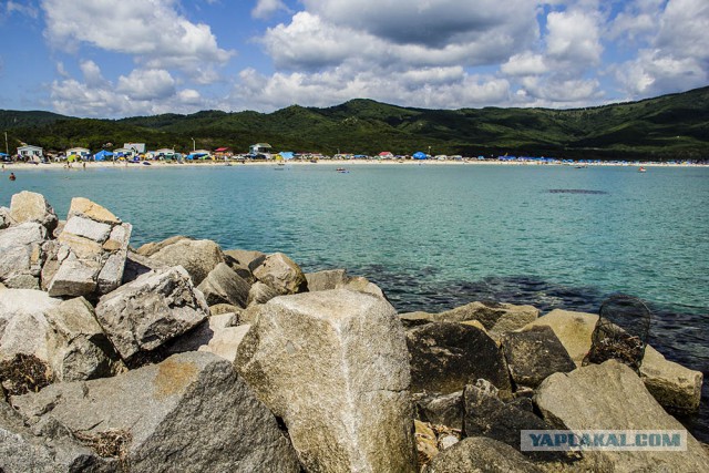 Природа Приморского края