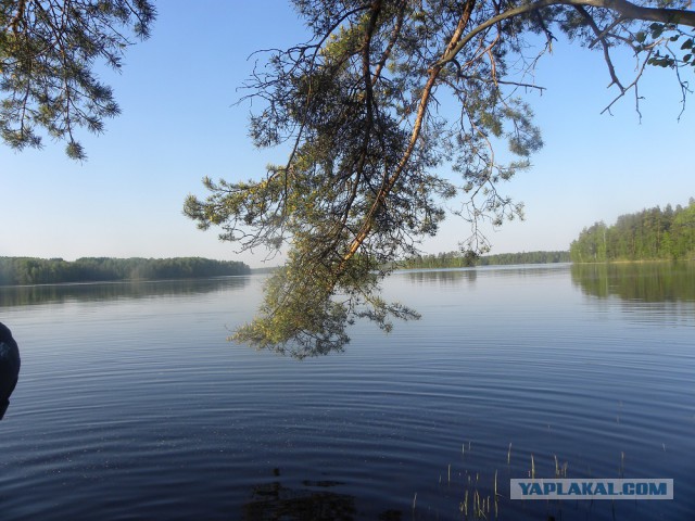 Поездка на "рыбалку".Карельский перешеек.