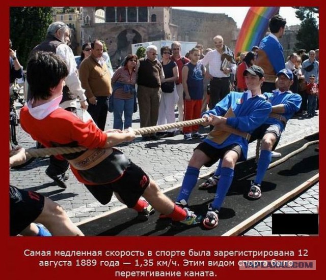 20 фактов обо всем