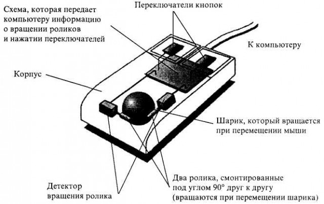 Диаграмма компьютерной мыши