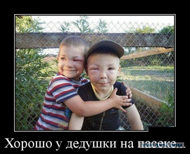 Смешное из инета