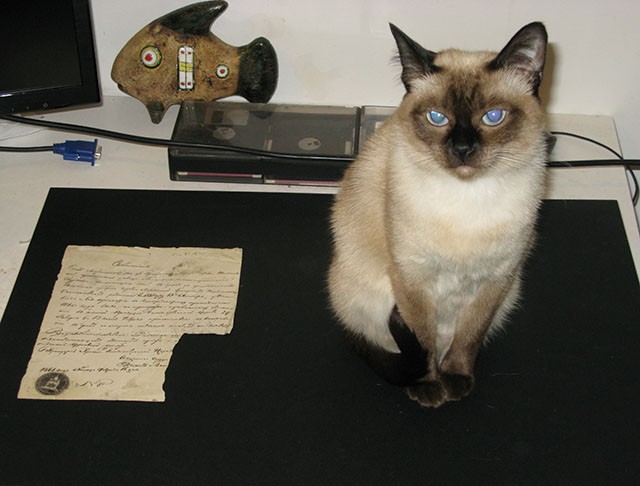 СвидѢтельство