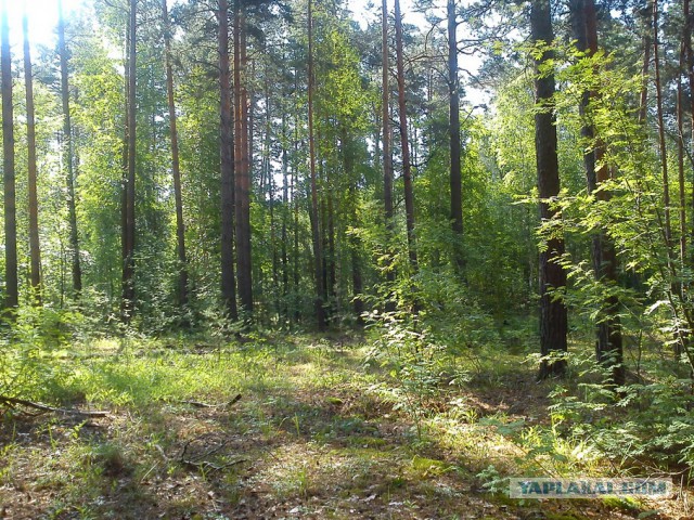 Деревенская Америка