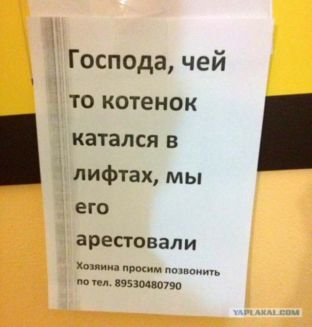Картинки из инета