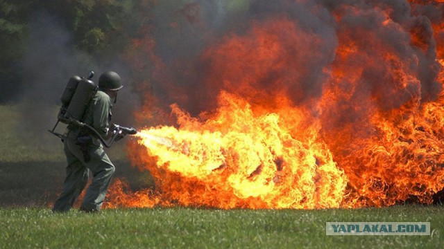 По ходу цыгане опиздюлились в Плеханове