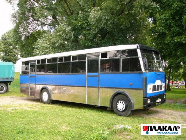 Автобусная авантюра от МАЗа, ставшая легендой