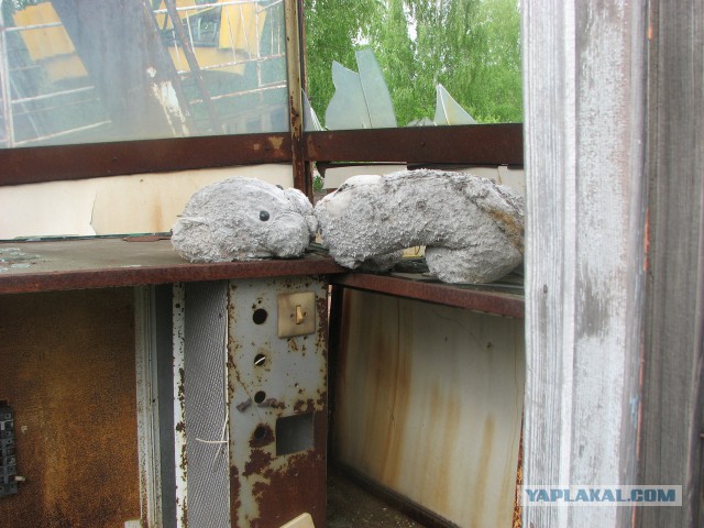 Черная быль
