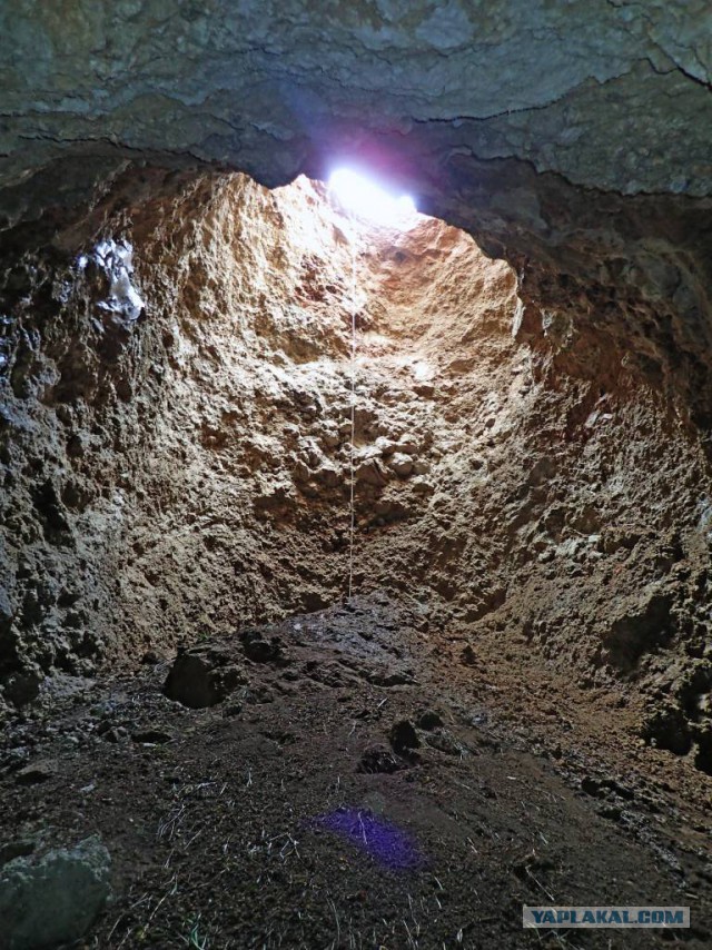 В Прикамье грибники случайно обнаружили загадочный 17-метровый провал