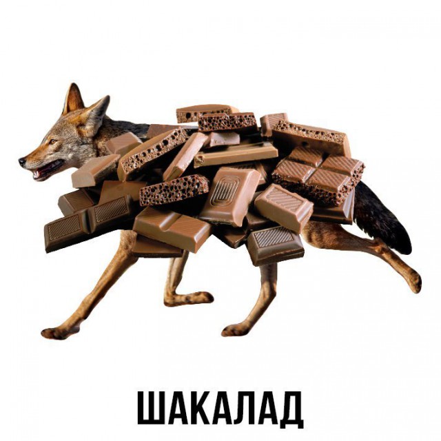 Шлакоблокунь и друзья