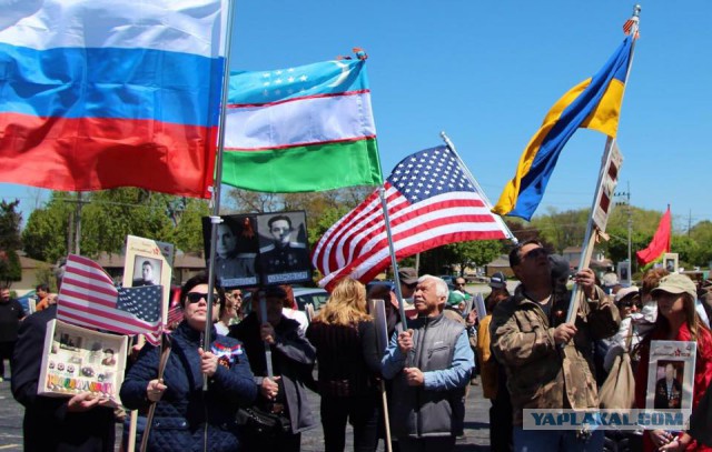 Оля! Вызывай наряд! Вызывай полицию!