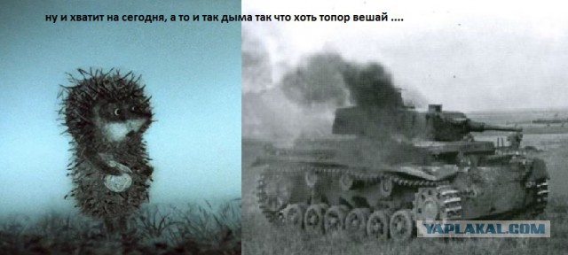 Счастья всем мировым ежам!