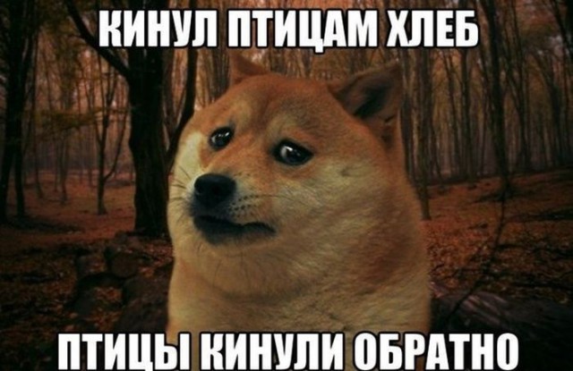 Не очень адекватный юмор