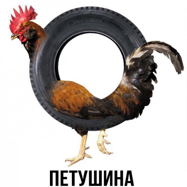 В Казани искавшая "Ашан" пассажирка случайно нашла брата таксиста из "Брата 2"